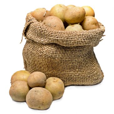 Ekološka pridelava krompirja